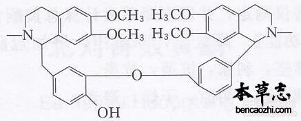 北豆根生物碱