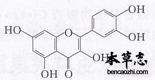 白花蛇舌草黄酮