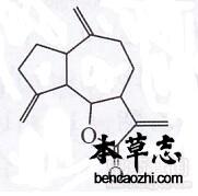 川木香挥发油