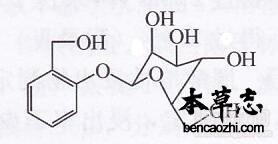 白柳皮糖苷