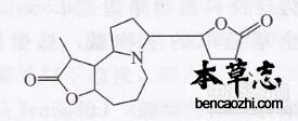 百部生物碱