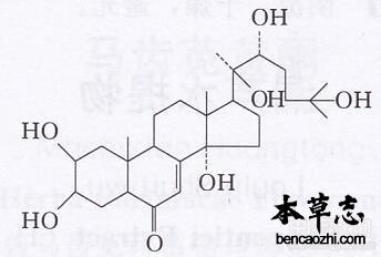 漏芦甾酮