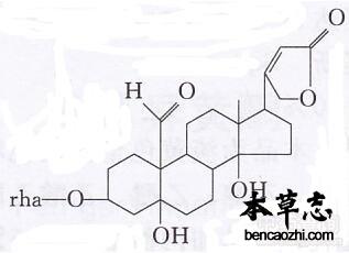 福寿草强心苷