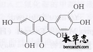 叶下珠黄酮