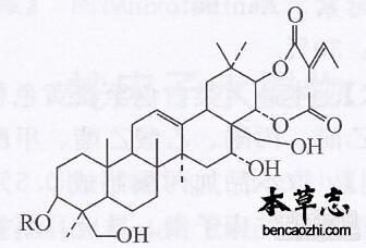 娑罗子皂苷