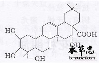 黄花倒水莲皂苷