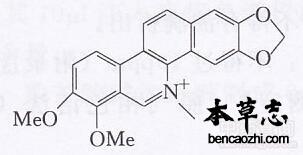 飞龙掌血生物碱